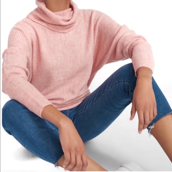 Sweatshirt - Picture 2 of 5